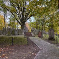 IMG_4211