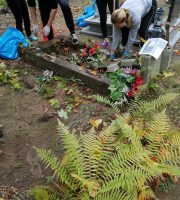 int IMG_20201022_133155